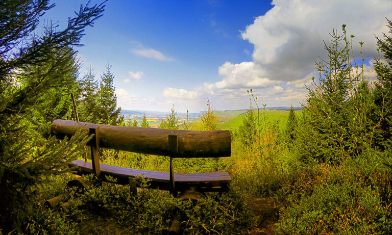 Mehr über den Artikel erfahren 🌳 Willkommen auf süntelkind.de!