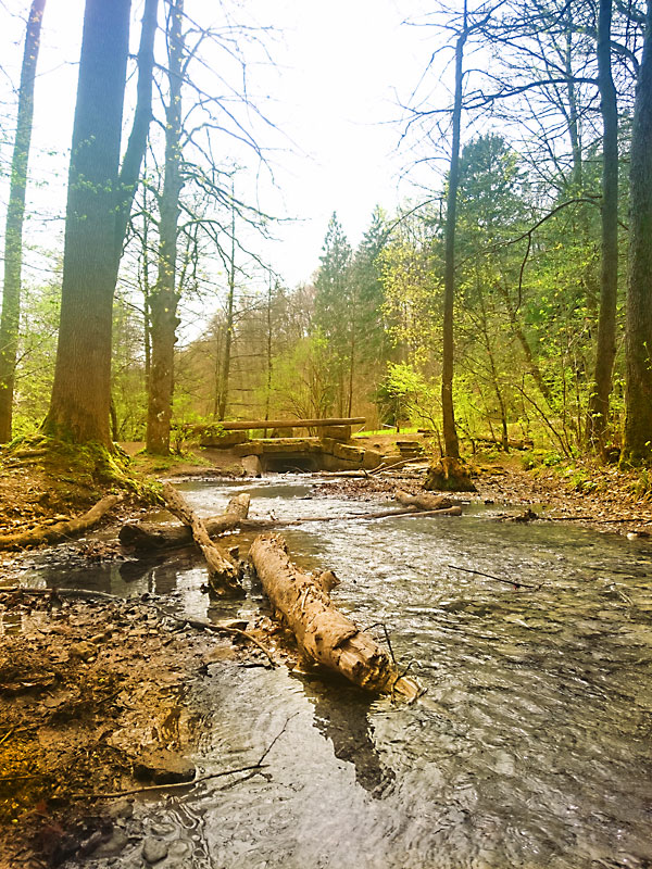 Bachlauf an der Baxmann-Baude © Lars Schulte (süntelkind.de)