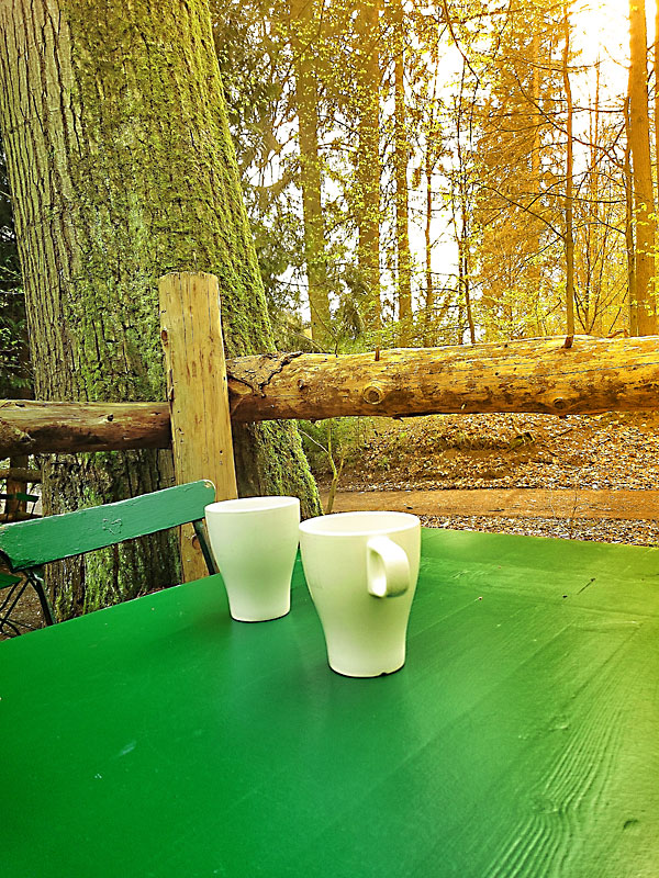 Kaffeeetisch an der Baxmann-Baude © Lars Schulte (süntelkind.de)