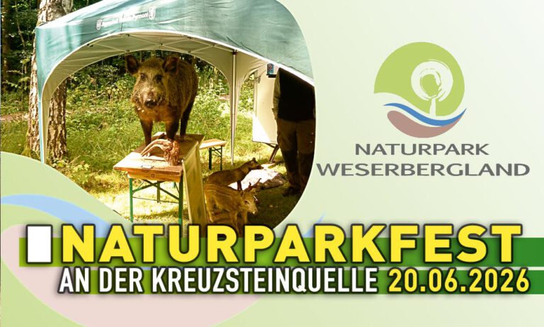 Mehr über den Artikel erfahren 🌳💦 Naturpark-Fest an der Kreuzsteinquelle